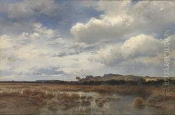 Weite Moorlandschaft. - view 1