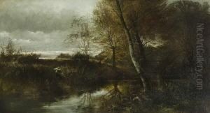 Moorlandschaft Im Herbst.