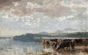 The Herd Watering