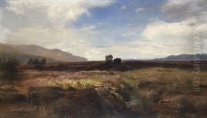 Oberbayerische
 Moorlandschaft