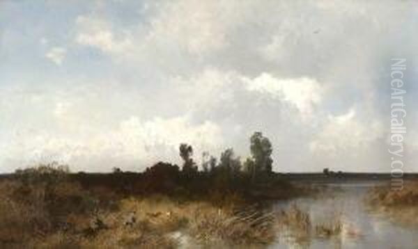 Herbstliche
Moorlandschaft. - view 1