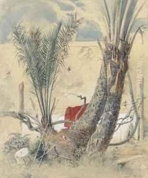 Study Of Palm Trees - view 1