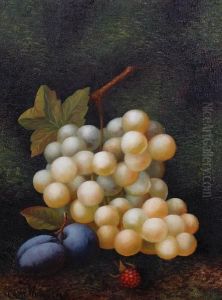 Still Lifes Of Fruit by Carl Friedrich H. Werner