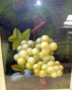Still Life Study With Green Grapes And Plums Still Life Study With Green Grapes And Plums