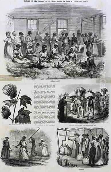 Five images of cotton processing, 1868 - view 1