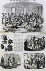 Five images of cotton processing, 1868 by James E. Taylor