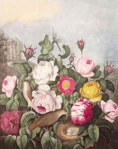 Roses, engraved by Earlom, from The Temple of Flora, by Robert Thornton, pub. 1805 by Thornton, Robert John
