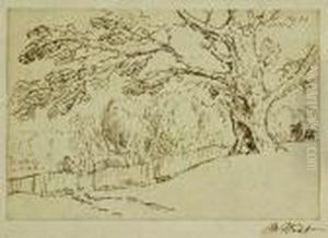 Study Of A Tree thumbnail