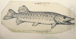 Study Of A Pike With Fish Hook by Benjamin West