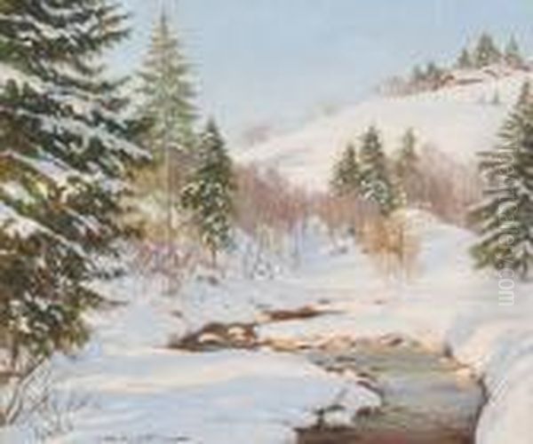 Snowy Stream In A Winter Landscape - view 1