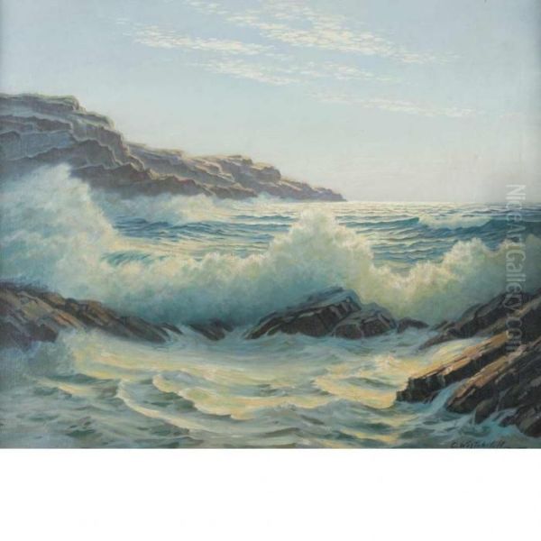 Waves Crashing On A Rocky Coast - view 1
