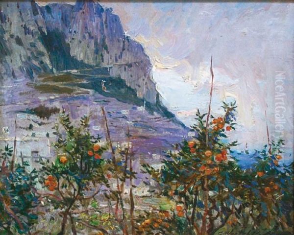 Capri - view 1