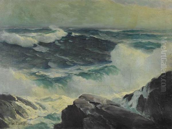 Maine Coastal Landscape. - view 1