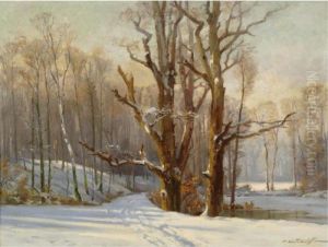 The Woods In Winter