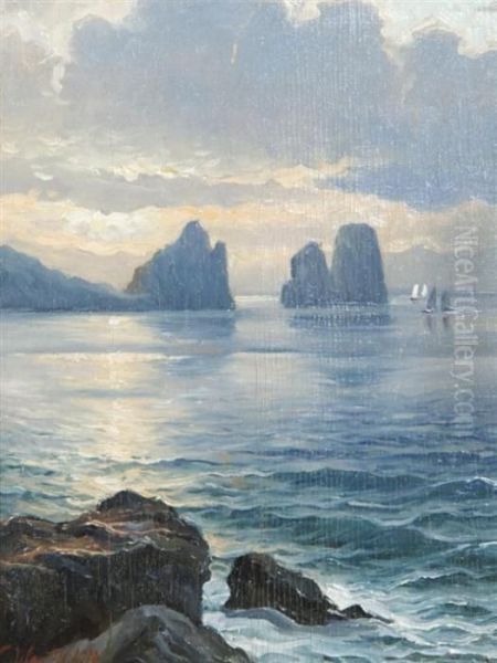 Moonlight Sail - view 1