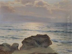 Coucher De Soleil Sur La Cote Rocheuse