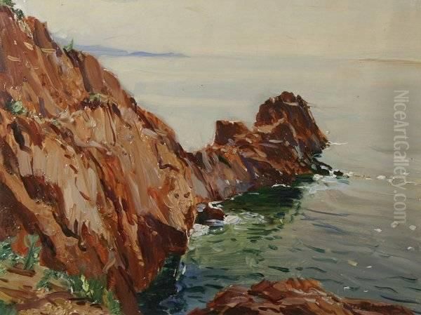 Otter Cliff-seal Harbor, Me - view 1