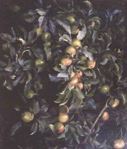 Ripe Apples by Emmy Thornam