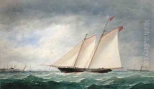Schooner Yacht off Ryde, Isle of Wight by Charles Taylor