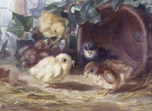 Five Chickens