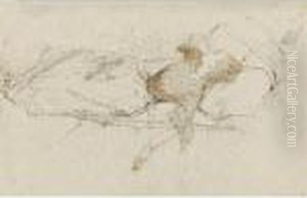 Reclining Lady - view 1