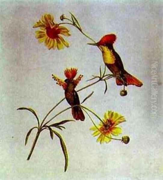 Birds And Flowers 1820s - view 1