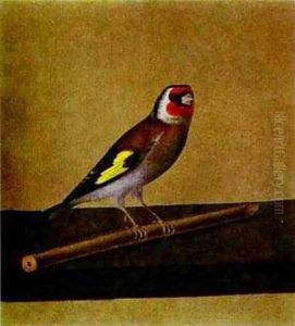 A Bird 1810s by Fedor Petrovich Tolstoy