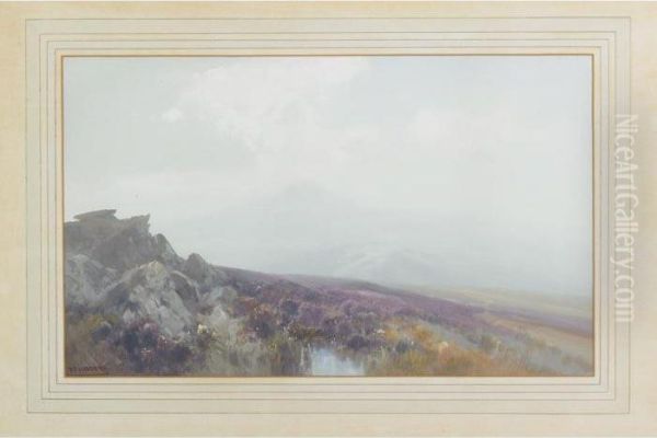 Moorland Scene - view 1