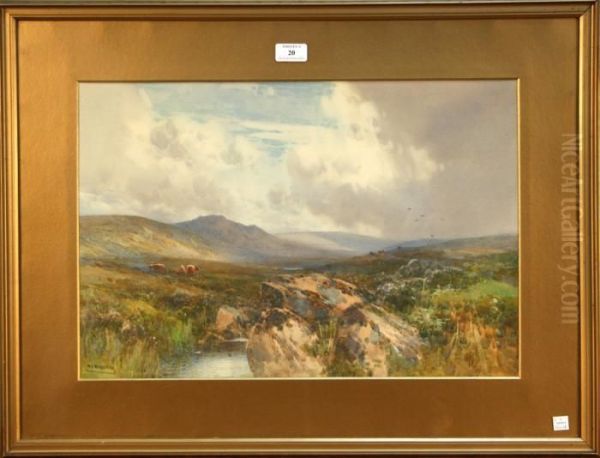 Near Lydford, Dartmoor - view 1