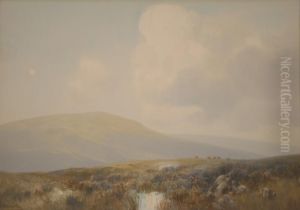 Livestock Grazing In Amoorland Landscape