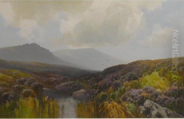 Dartmoor Scene - view 1