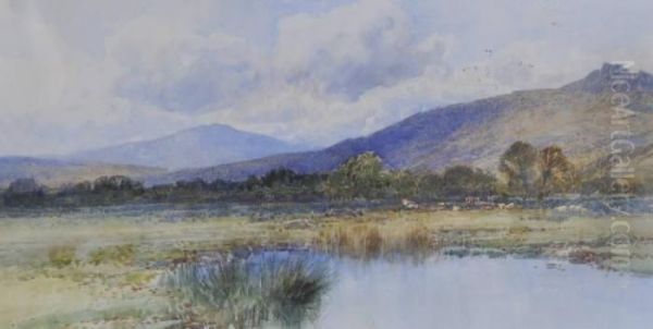 Landscape Okehampton - view 1