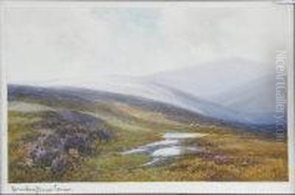 Moorland - view 1