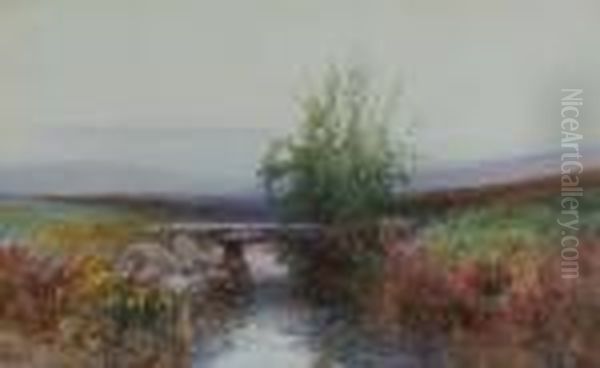 Fernworthy Bridge - view 1