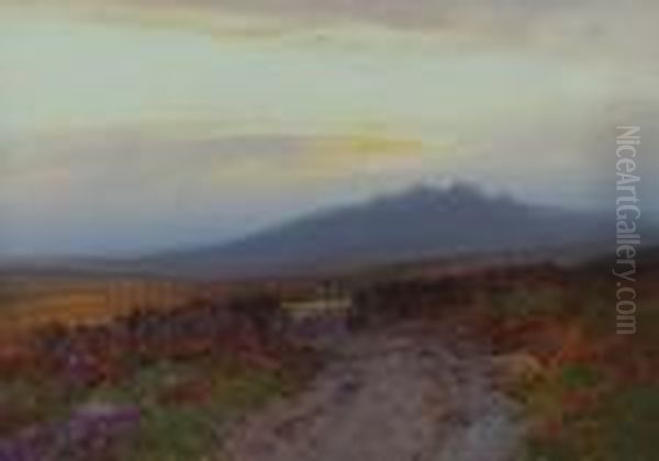 Old Roadway Near Dartmoor - view 1