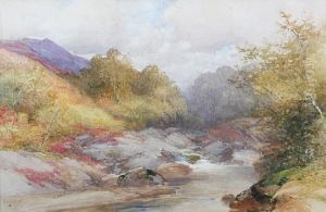 A Dartmoor River Landscape