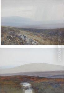 'cox's Tor, Dartmoor'; 'nr Steperton Tor,dartmoor'