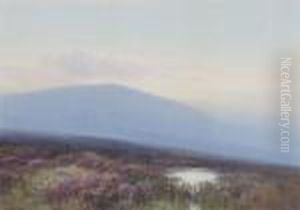 A Dartmoor Landscape