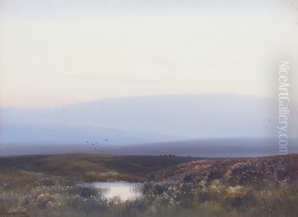 Hamildown Hill, Dartmoor - view 1