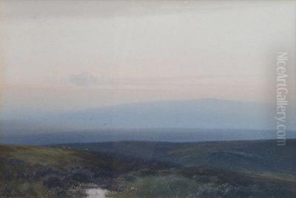 Moorland With Sheep. - view 1
