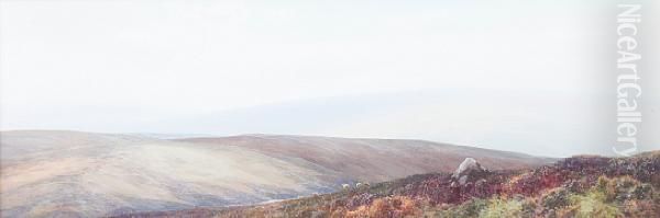 Moorland Landscape With Sheep - view 1