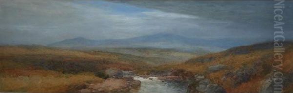 Moorland Scene - view 1