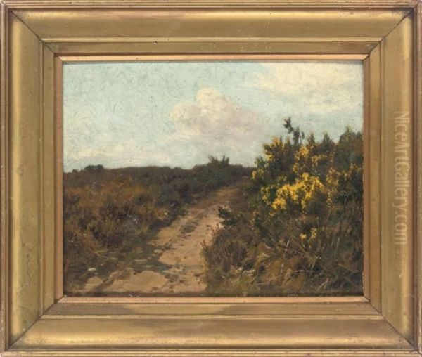 A Sandy Track - view 1