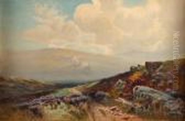 Near Princetown - view 1
