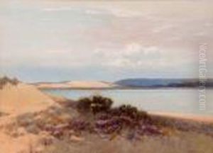 West Country Bay West Country Bay