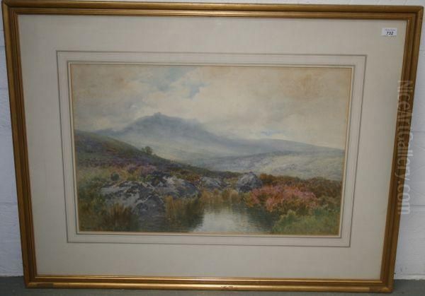 Extensive Moorland View - view 1