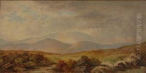 Moorland Landscape by Frederick John Widgery