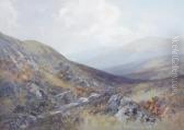 'the Valley Of The Taw - view 1