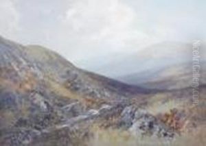 'the Valley Of The Taw 'the Valley Of The Taw