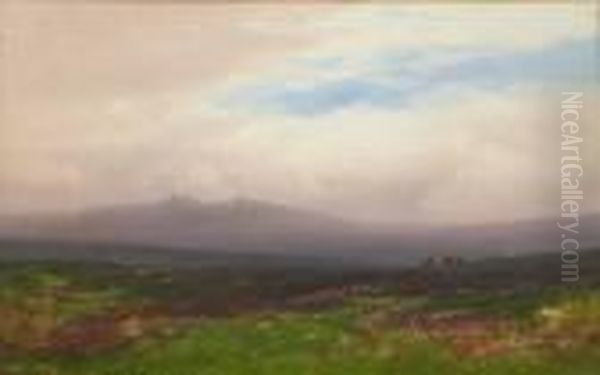 Dartmoor - view 1